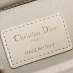 Christian Dior Small Lady D-Joy Bag